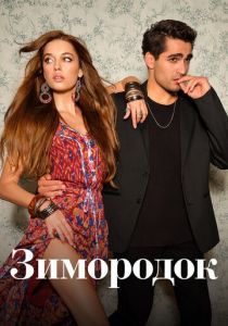 Зимородок 2022 фильм