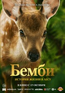 Бемби. История жизни в лесу 2024