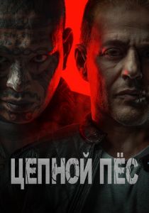 Цепной пёс 2024