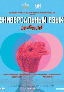 Универсальный язык 2024