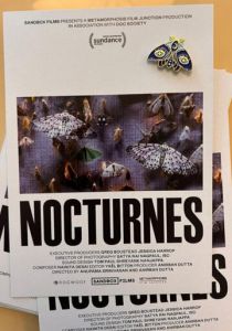 Ноктюрны 2024