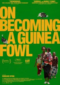 Как стать морской птицей 2024