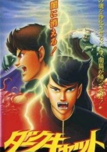 Черный кот 1991