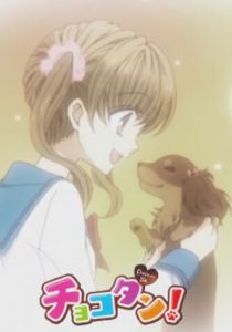 Чокотан! 2013