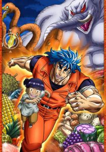 Торико 3D 2011