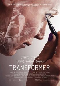 Transformer 2017
