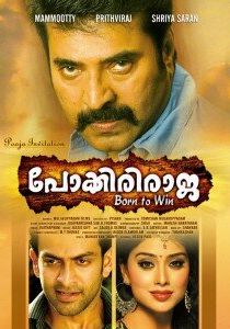 Неустрашимый Раджа 2010