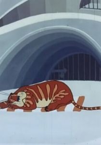 Бабочка и тигр 1978