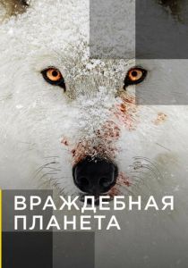 Враждебная планета 2019