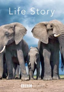 История жизни 2014