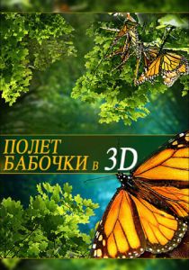Полет бабочки 3D 2012