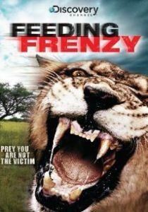 Как прокормить крокодила 2008