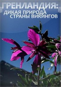 Гренландия: Дикая природа страны викингов 2005