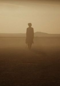 Отголоски 2014