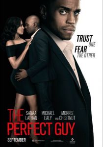 Идеальный парень 2015