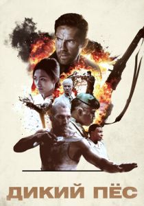 Дикий пёс 2017