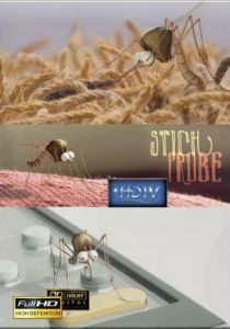 Проба на укус 2008