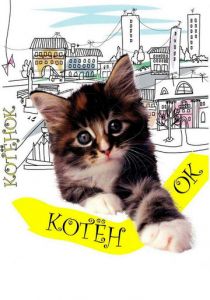 Котенок 1996