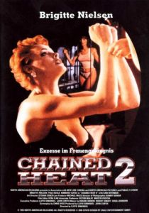 Женщины за решеткой 2 1993