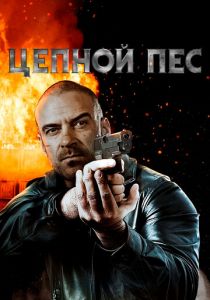 Цепной пес 2020