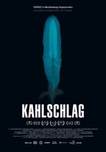 Kahlschlag 2018