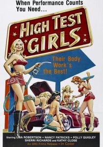 Шесть шведок с бензоколонки 1980