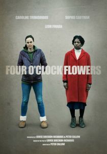 Цветы на четыре часа 2022