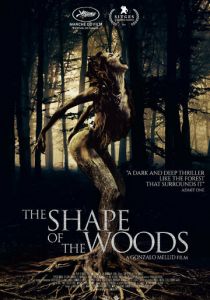 Форма леса 2021