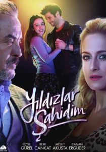 Звезды - мои свидетели 2017