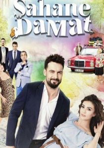 Замечательный зять 2016