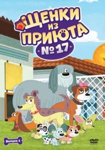 Щенки из приюта № 17 2010