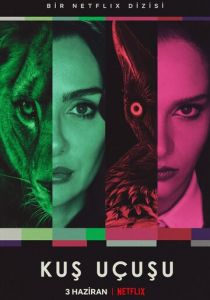 Полёт птицы 2022