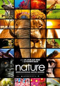 Заколдованное королевство 3D 2014