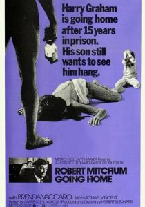 Иди домой 1971