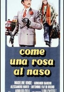 Как роза у носа 1976