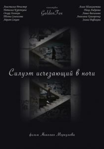 Силуэт, исчезающий в ночи 2022