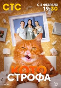 Котострофа 2023