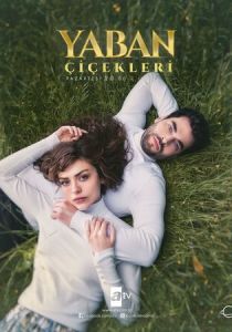 Дикие цветы 2024