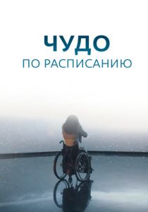 Чудо по расписанию 2016