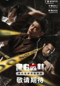 Чёрно-белый лес 2024