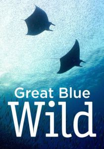 Great Blue Wild 2015