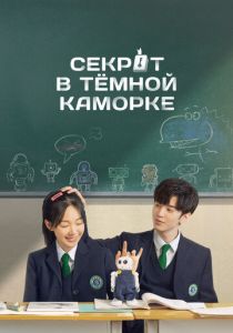 Секрет в тёмной каморке 2021