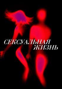 Сексуальная жизнь 2019