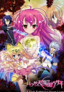 Семь жизней чёрного кролика 2011