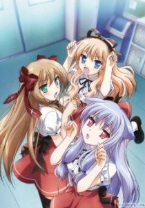 Нашествие бродячих кошек! 2010