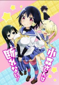 Безотказная Комори 2015