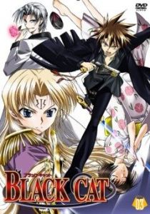 Черный кот 2005