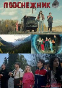 Подснежник 2024