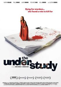 Дублерша 2008