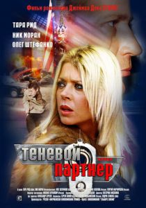 Теневой партнер 2004